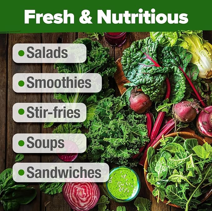 HOME GROWN 20 Variety Lettuce Seeds 21, 700+ Bulk Pack Heirloom Non-GMO - Image 8