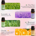 8 Pcs 100% Pure Floral Essential Oils Set - Image 4