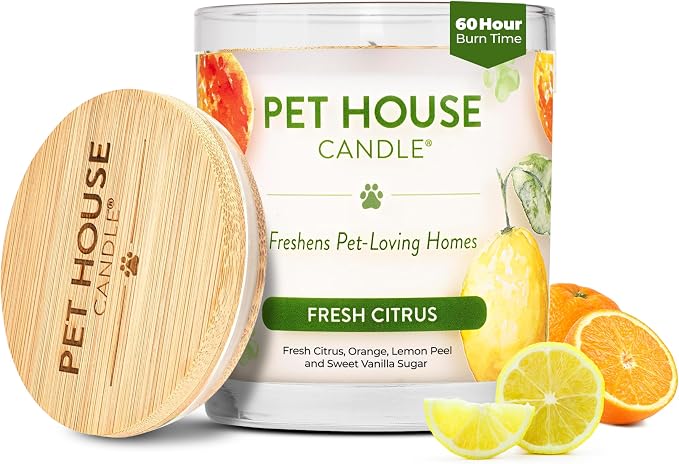 One Fur All Pet House Candle Plant-Based/Soy by OneFurAll
