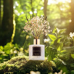 Cocorrína Reed Diffuser Sets, 6.7 fl oz. Black Forest Diffuser - Image 4