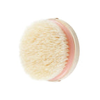 EcoTools Dry Body Brush, for Post Shower & Bath Skincare Routine, Removes Dirt - Image 4