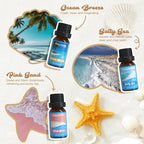 SALKING Surf & Sand Fragrance Oils, Premium Essential Oil - Image 3