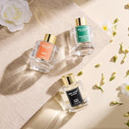 Airkeep Reed Diffuser Set of 3 - Image 3