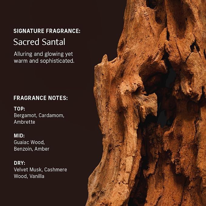 CYKLAR Sensorial Body Wash. Sacred Santal Hydrating Cleanser - Image 4