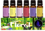 Eternal Essence Oils Floral Set of 6 Premium Fragrance Oils - Image 6