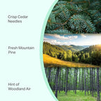 Pine Candle Large Volcano Jar -19oz 4"x5" Giant Candle - Image 3