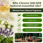 Essential Oils by SACATR Natural Essential Oil Set -12 Essential Oils Gift Set - Image 3