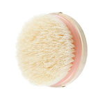 EcoTools Dry Body Brush, Cruelty-Free Bristles Exfoliate & Smooth Skin - Image 11