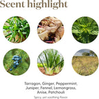 Young Living DiGize Essential Oil Blend | 5 ml | Soothing Aromatherapy - Image 5