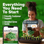HOME GROWN Non GMO Peppermint Seeds Pack 2, 370 Heirloom Mint Seeds - Image 8