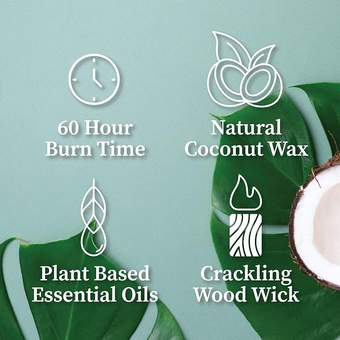 Hemlock Park Eucalyptus Mint Apothecary Hand-Poured Scented Candle | Crackling - Image 4