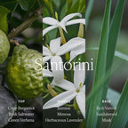 Antica Farmacista Room Spray - Image 4