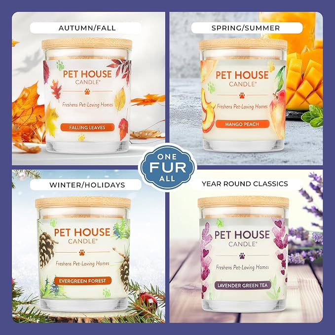Pet House Candles, Plant-Based, Long Lasting, Pet Friendly Candles - Image 4
