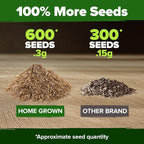 HOME GROWN Dandelion Seeds for Planting 600 Heirloom Medicinal Herb Seeds Non - Image 3