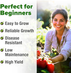 HOME GROWN San Marzano Tomato Seeds 66+ Heirloom Non-GMO Seeds - Image 4