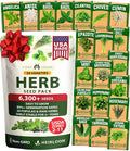HOME GROWN Premium Herb Seeds Variety Pack by HOMEGROWN