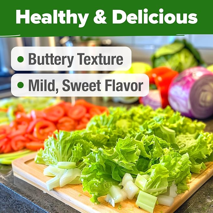 HOME GROWN Buttercrunch Lettuce Seeds 3950+ Bulk Pack Heirloom Non-GMO - Image 6