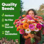 HOME GROWN Zinnia Seeds for 2026 - Image 9