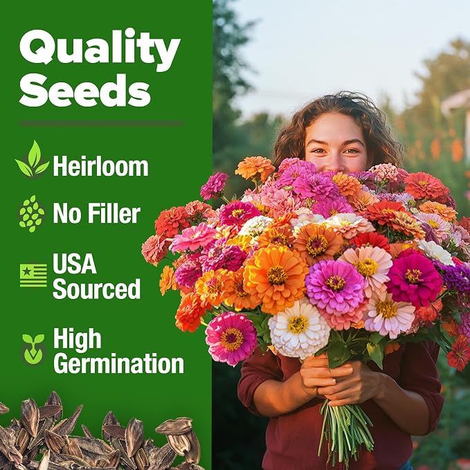 HOME GROWN Zinnia Seeds for 2026 - Image 9