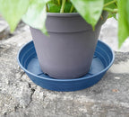 LWALRS Plant Saucer 14 Inch 2 Pack 6 8 10 12 14 16 18 20 25, Plastic Plant Trays - Image 4