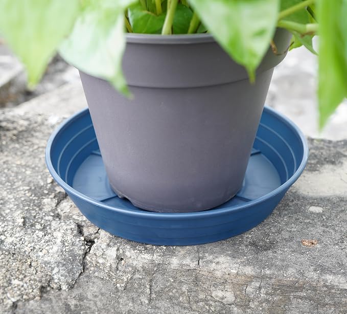 Plant Saucer 6 Inch 4 Pack 6 8 10 12 14 16 18 20 25, Plastic Plant Trays - Image 4