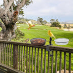 2 Pack Deck Bird Feeders Deck Mount Bird Bath Spa - Image 3