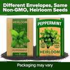 HOME GROWN Non GMO Peppermint Seeds Pack 2, 370 Heirloom Mint Seeds - Image 9