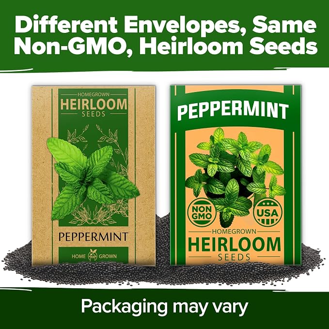 HOME GROWN Non GMO Peppermint Seeds Pack 2, 370 Heirloom Mint Seeds - Image 9