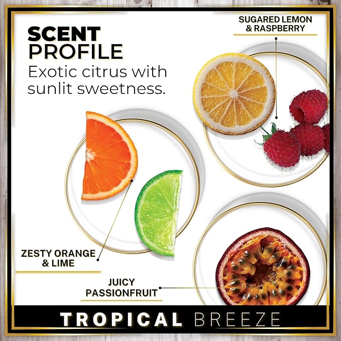 Urban Naturals Car Air Freshener Diffuser 1 Pack - Image 4