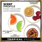 Urban Naturals Car Air Freshener Diffuser 3 Pack - Image 4