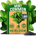 HOME GROWN Non GMO Common Mint Seeds 1, 800 Heirloom Herb Seeds, USA Sourced | by HOMEGROWN