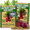 HOME GROWN Detroit Dark Red Beet Seeds 1000+ Heirloom Non-GMO Seeds by HOMEGROWN
