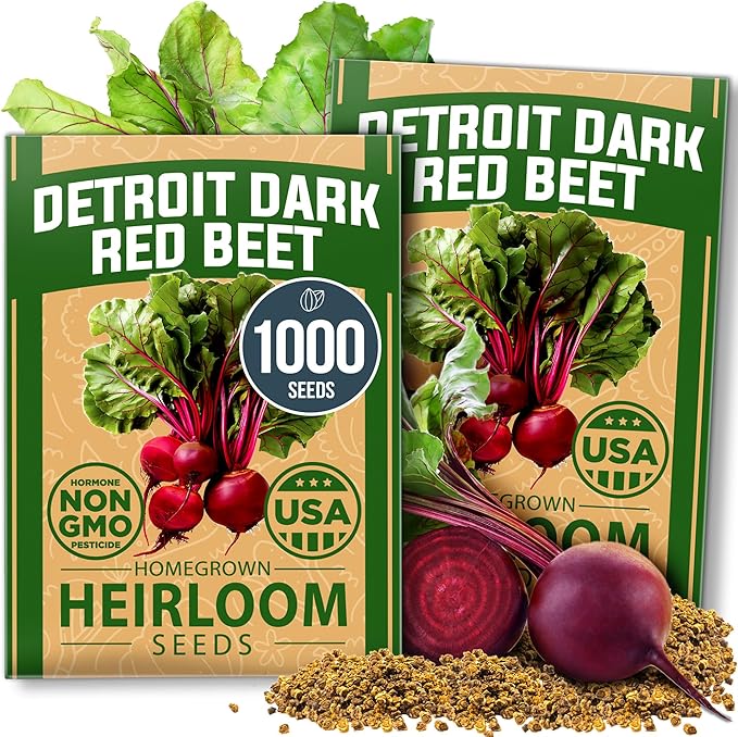 HOME GROWN Detroit Dark Red Beet Seeds 1000+ Heirloom Non-GMO Seeds by HOMEGROWN