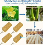 Natural Loofah Sponge, 6“ Natural Loofah Exfoliating Body Scrubber Egyptian - Image 4