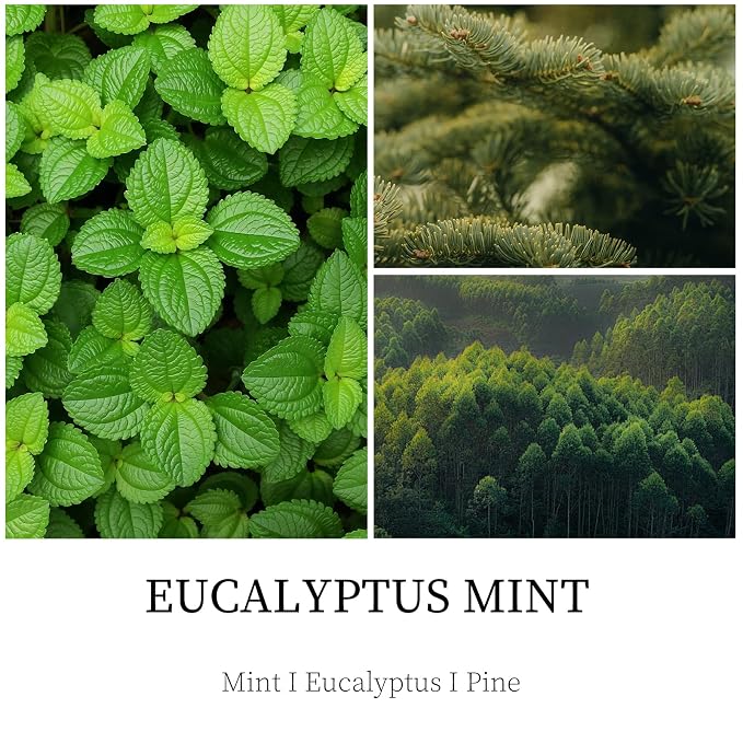 Eucalyptus Mint Candle, 7 oz Scented Candle - Image 3