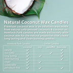 Hemlock Park Palo Santo Apothecary Hand-Poured Scented Candle | Crackling Wood - Image 5