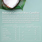 Hemlock Park Crackling Wood Wick Candle Handcrafted - Image 5