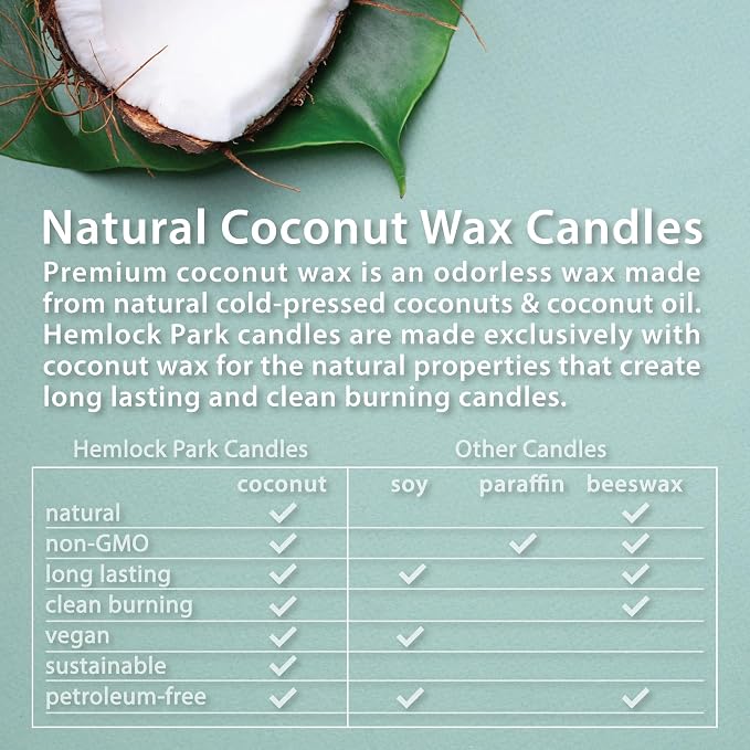 Hemlock Park Crackling Wood Wick Candle Handcrafted - Image 5