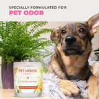 Pet House Candles, Clean Burning, Long Lasting Pet Odor Candles, Plant-Based - Image 6