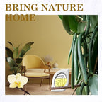 Air Freshener for Home, 4 Pack, Odor Eliminator for Small Area Closets Bathroom - Image 2