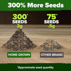 HOME GROWN Will Rogers Zinnia Seeds - Image 3