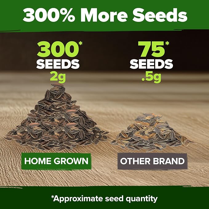 HOME GROWN Will Rogers Zinnia Seeds - Image 3