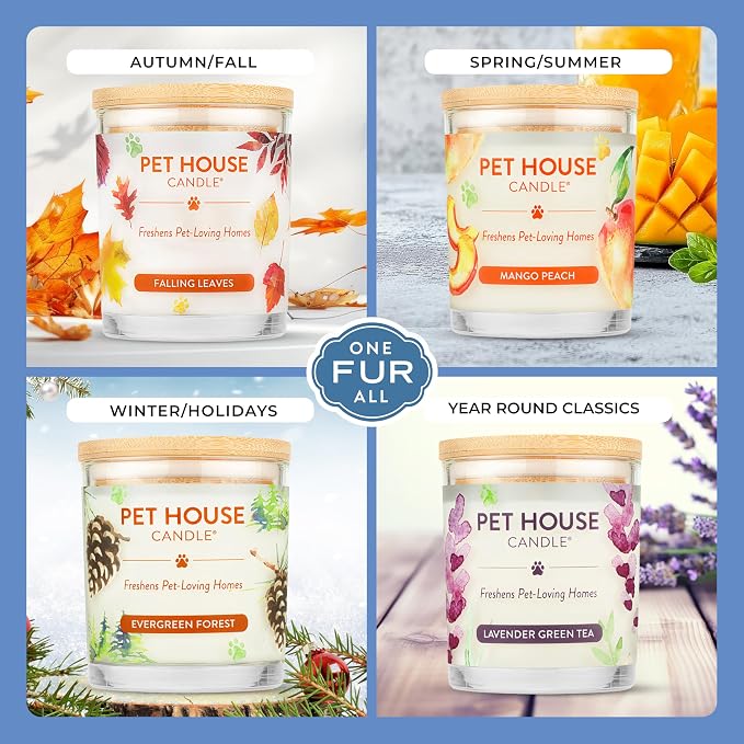 Pet House Pet Friendly Candle Plant Based Scented Candle Clean Burning - Image 4