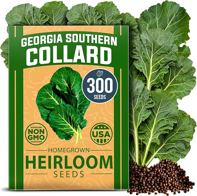 HOME GROWN Collard Greens Georgia Southern 300+ Heirloom Non GMO Seeds by HOMEGROWN