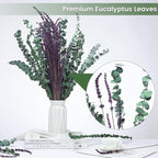 Real Eucalyptus for Shower Hanging Dried Eucalyptus Stems for Shower - Image 3