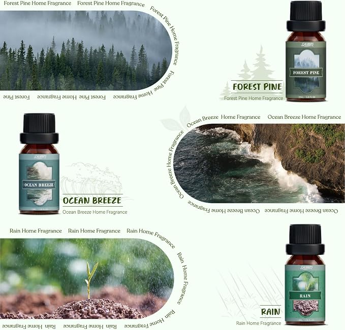 SALUBRITO Nature Fragrance Oils Set, Essential Oils Set - Image 3