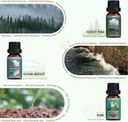 SALUBRITO Nature Fragrance Oils Set, Essential Oils Set - Image 3