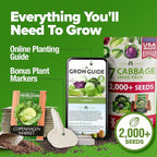 HOME GROWN Cabbage Seeds 7 Variety Mix 2000+ Heirloom Non-GMO, High Germination - Image 8