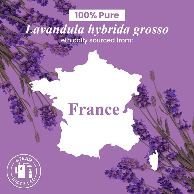 Handcraft Blends Lavender Essential Oil in Glass Bottle – Huge 16 Fl Oz – 100% - Image 7