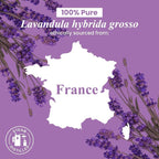 Handcraft Blends Lavender Essential Oil in Glass Bottle – Huge 16 Fl Oz – 100% - Image 7